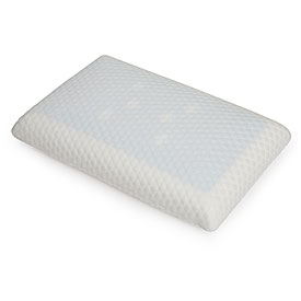 Biopedic® Gel Top Memory Foam Pillow | Big Lots