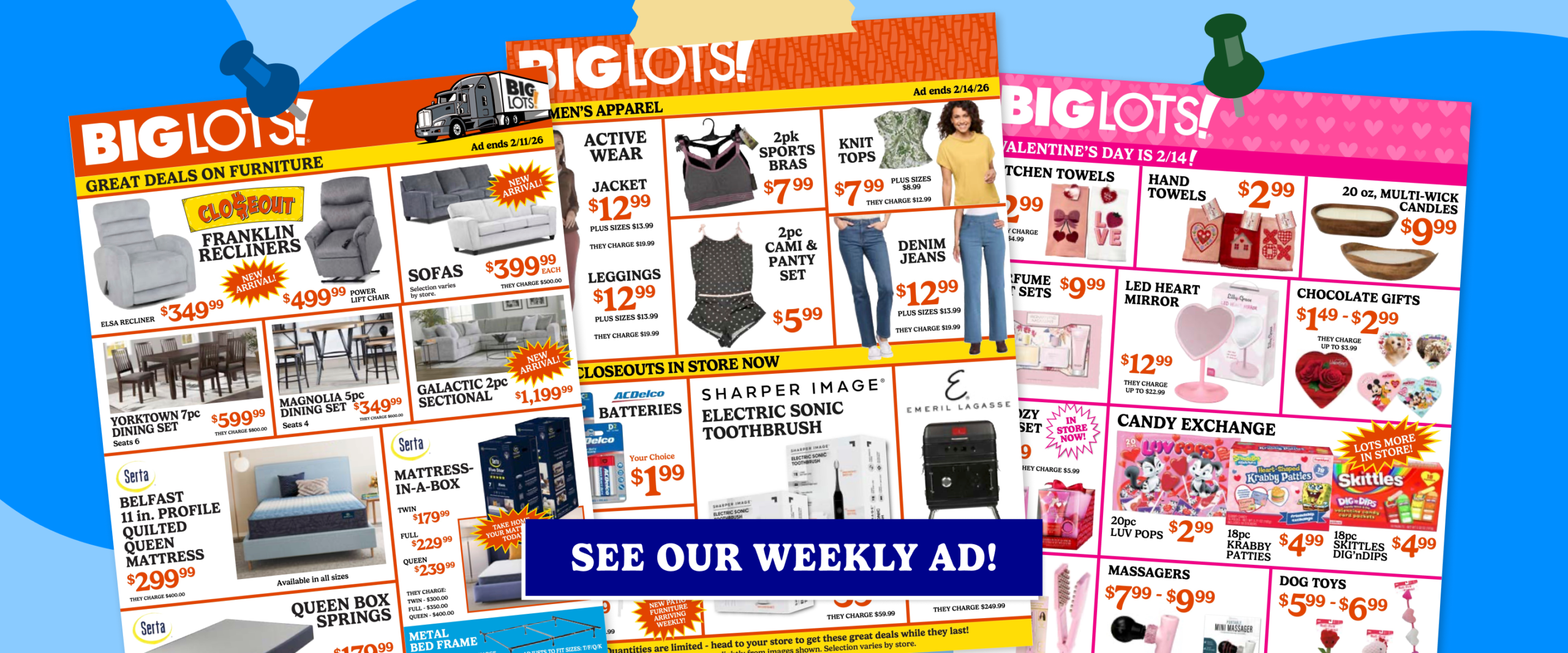 Big Lots! Weekly Ad Banner 